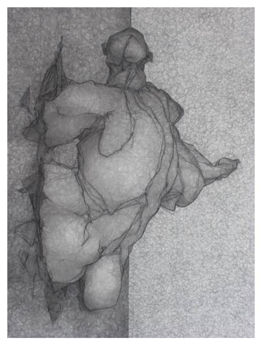 Untitled I, charcoal and graphite, 2007