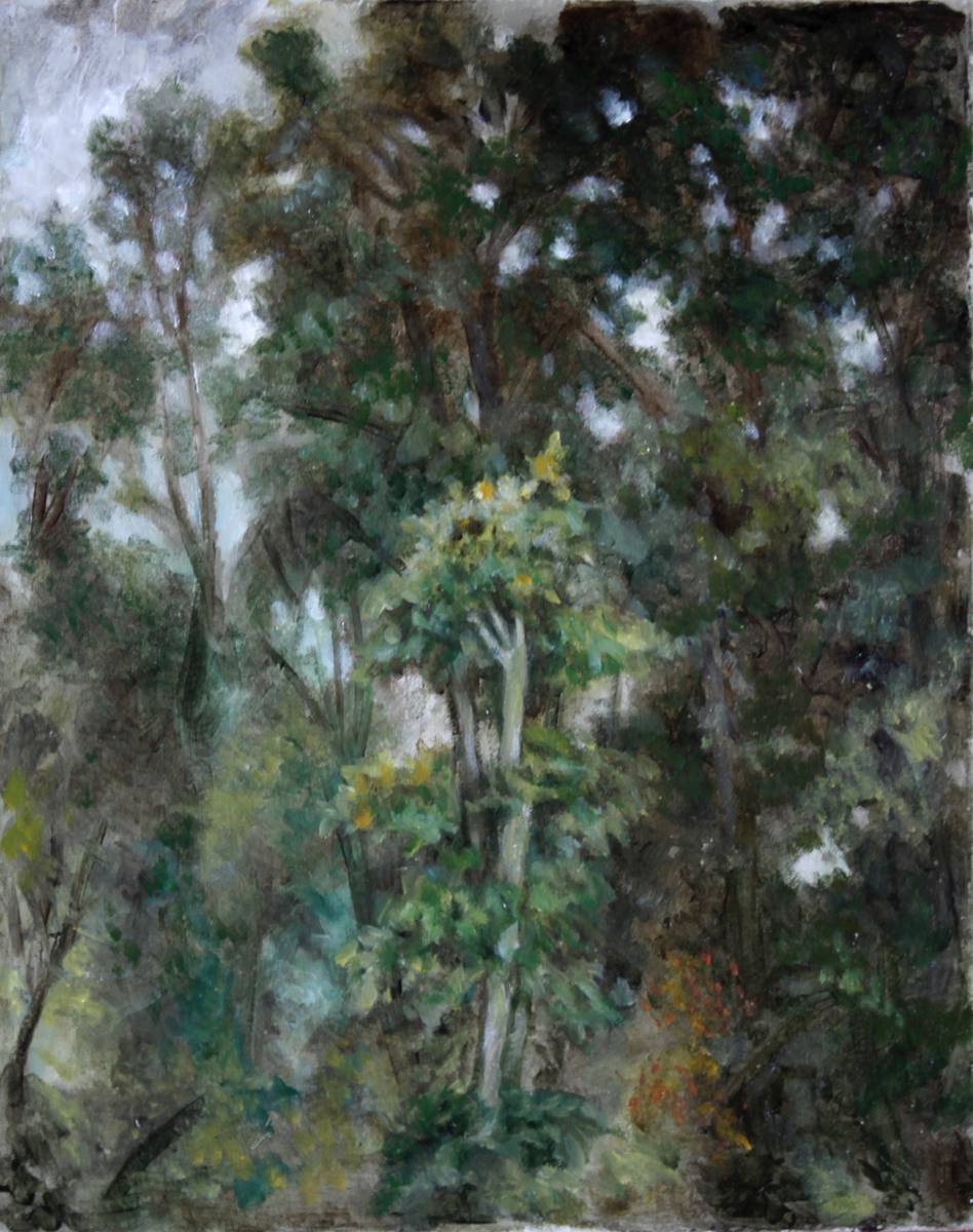 Forest, oil on canvas, 2017