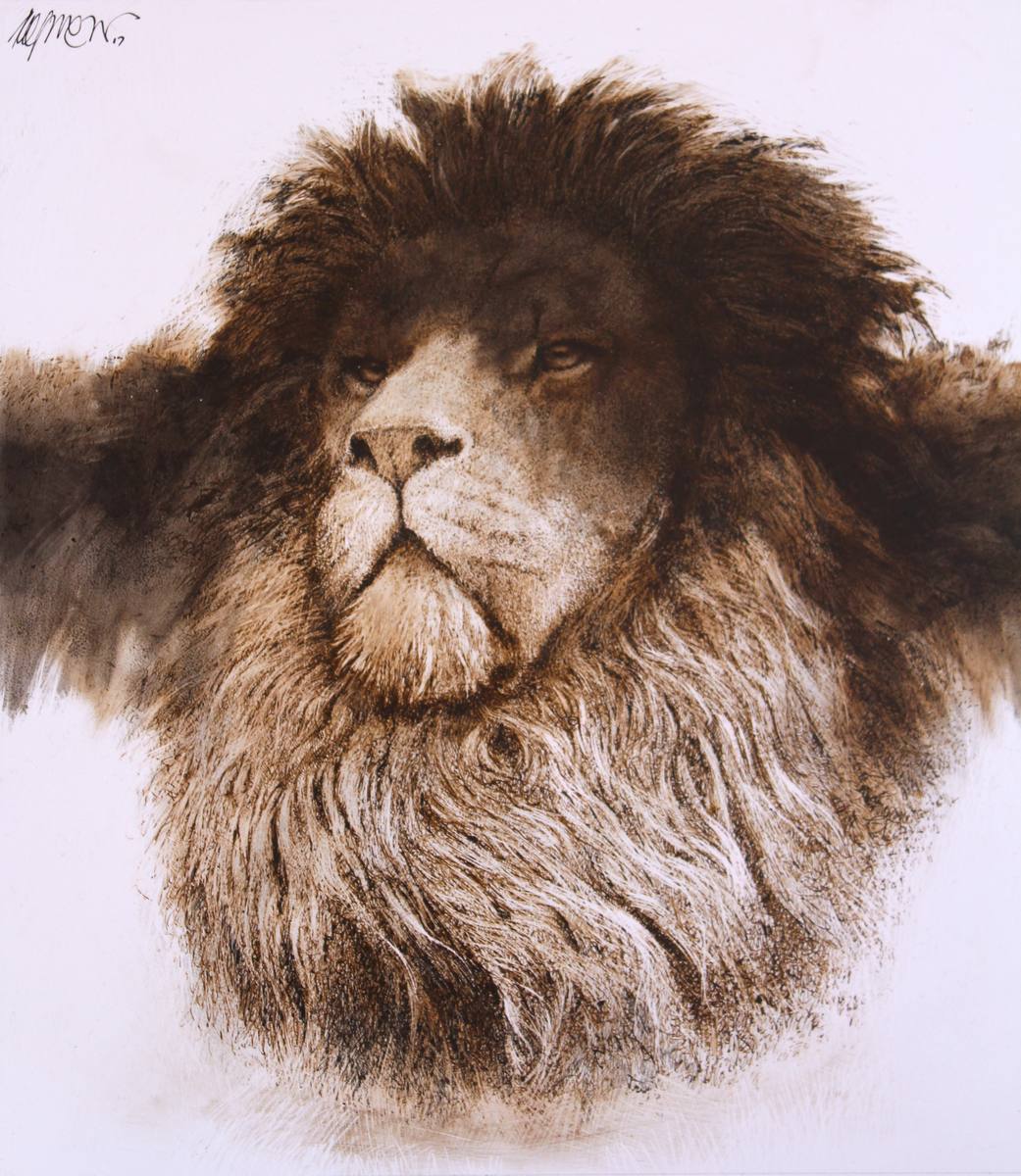 Lion, animal studies, 2017