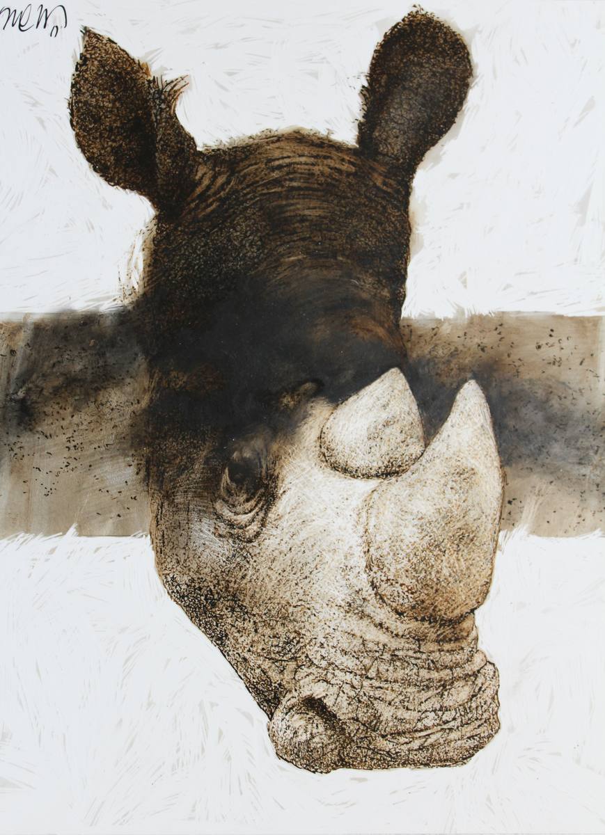 Rhino, animal studies, 2017